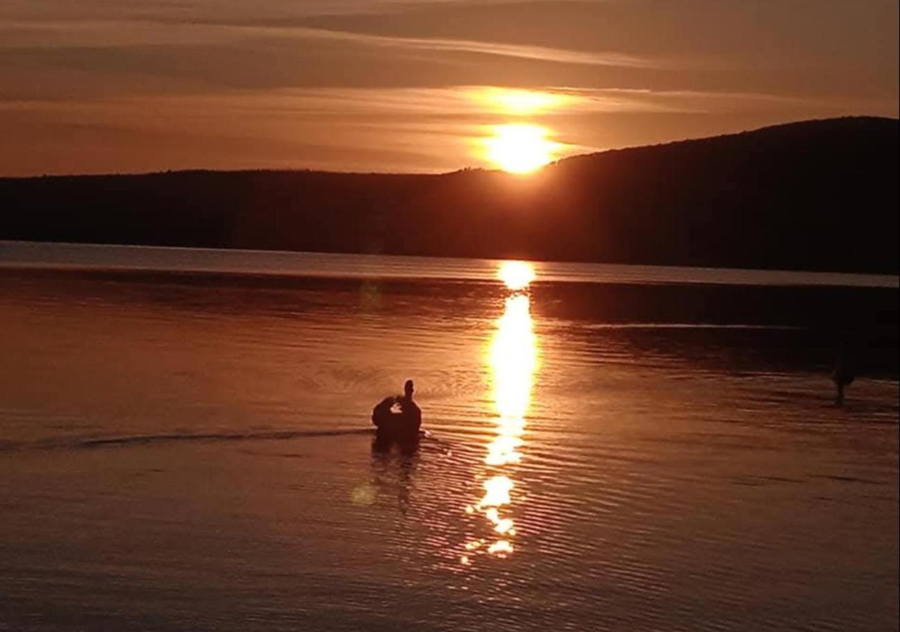 Dolce Lago Trevignano Romano Luaran gambar